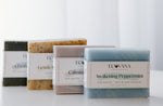 Body Wash Soap Bar Bundle